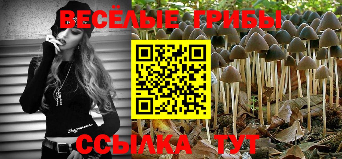 Галлюциногенные грибы Magic Shrooms Белебей