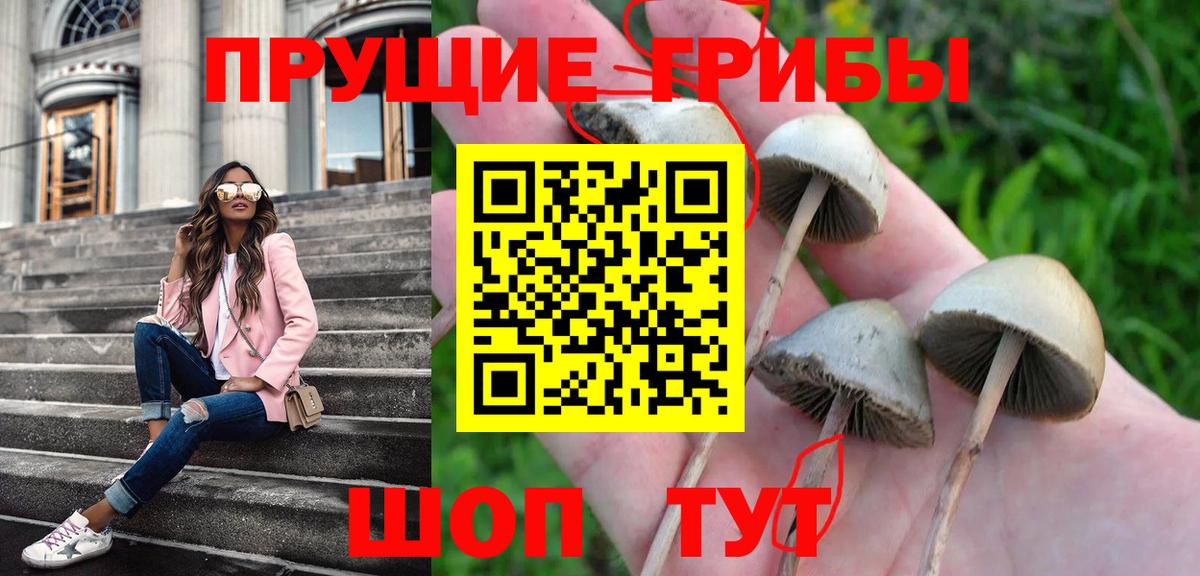 Галлюциногенные грибы Psilocybine cubensis  Вход с VPN  Белебей 